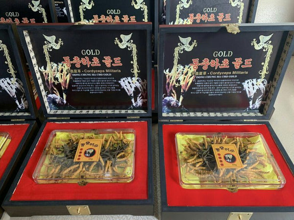 Đông Trùng Hạ Thảo Khô Gold